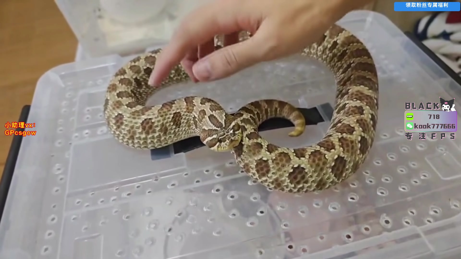 这是我剪辑的玩机器丶Machine的直播精彩时刻，快来看看吧~