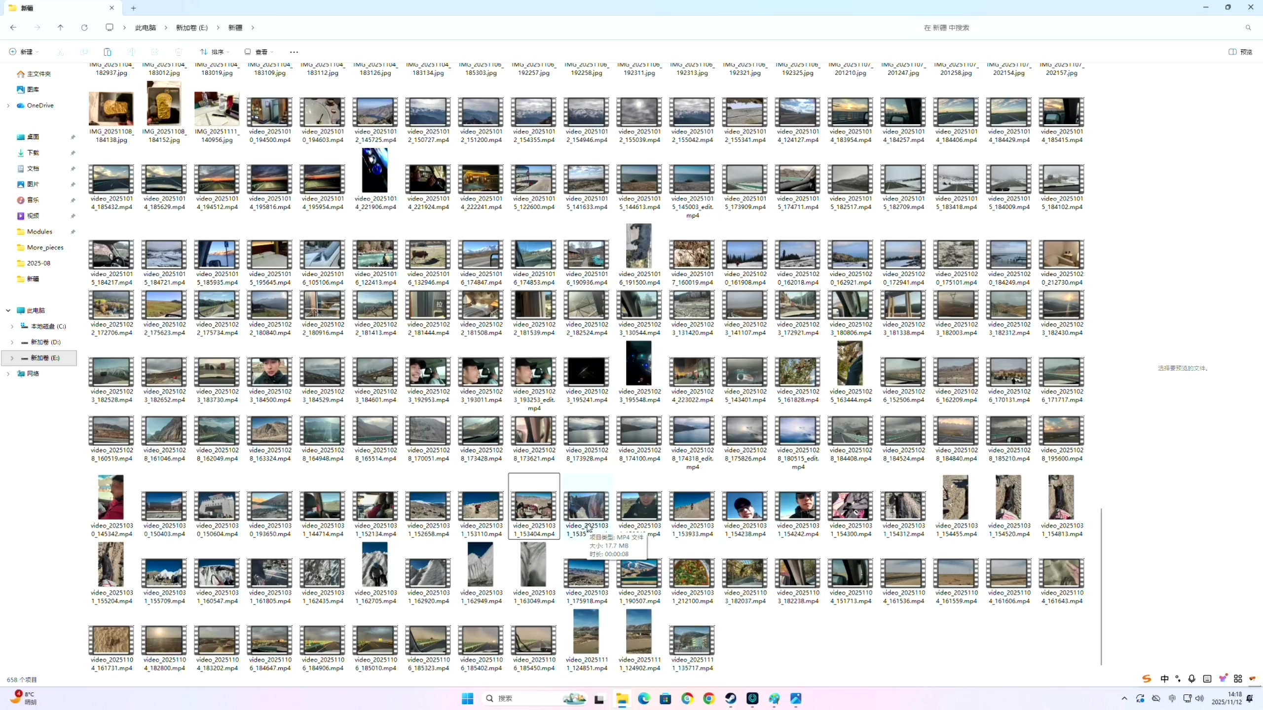 【主机其他游戏】寅子的精彩时刻 20251112 14点场
