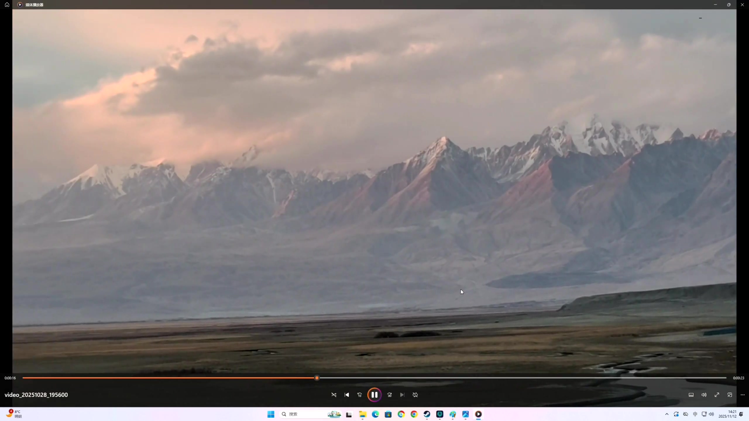 【主机其他游戏】寅子的精彩时刻 20251112 14点场