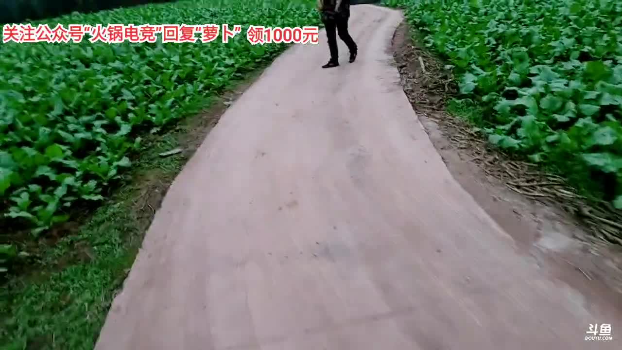 点赞