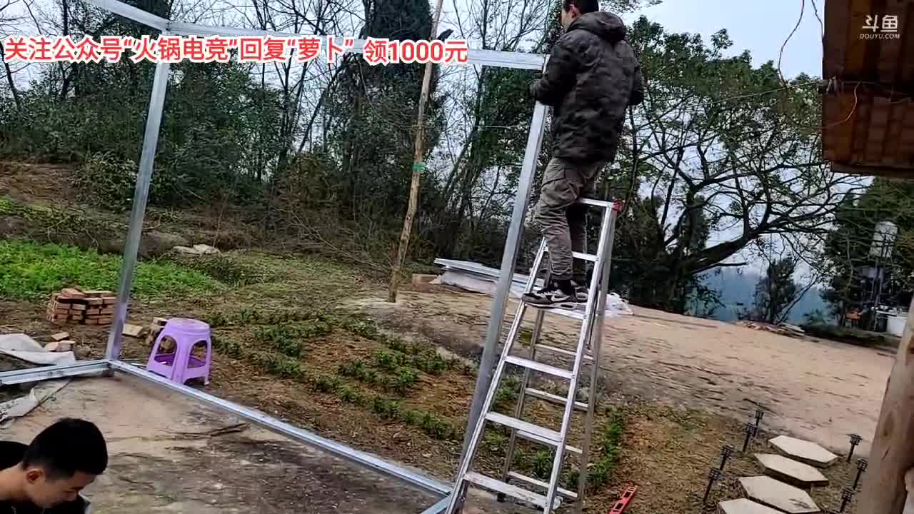 点赞