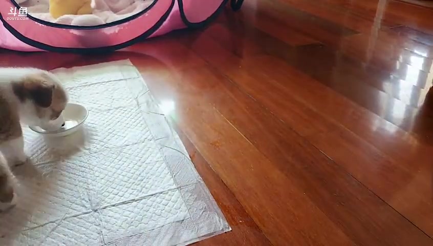 【沙盒与副本：英勇之地】丶干物喵的精彩时刻 20230825 02点场